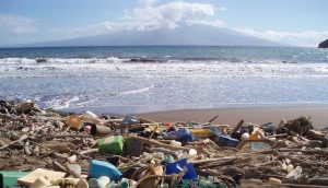 Plastica sulla spiaggia di Laden Beach, Hawaii