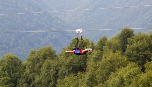 Zipline - NeXTones Xperience