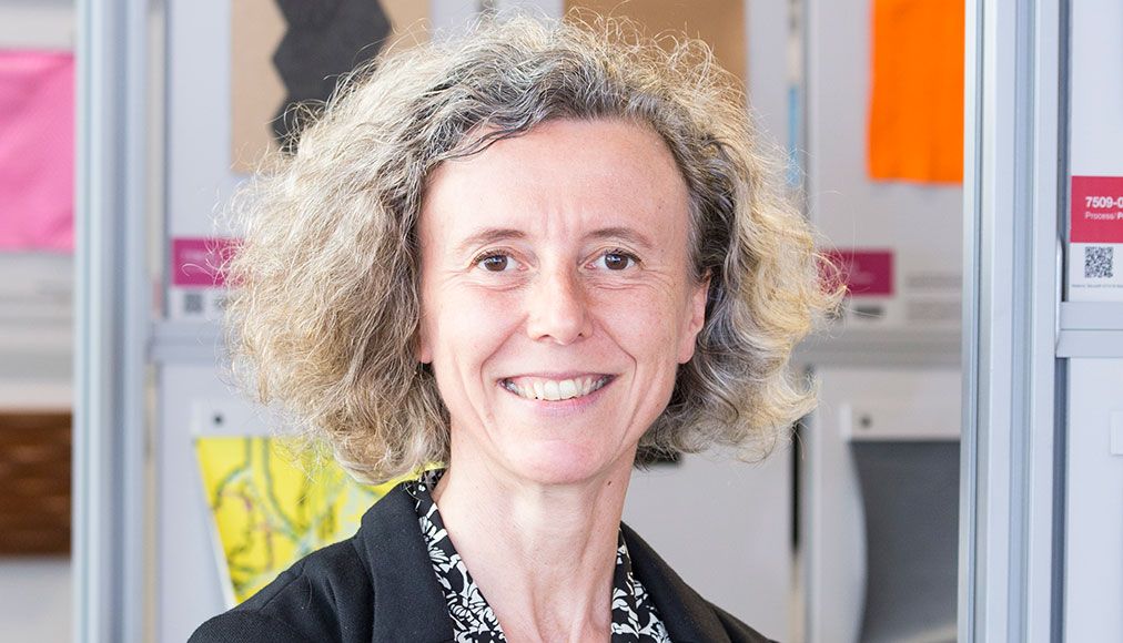 Anna Pellizzari Materially