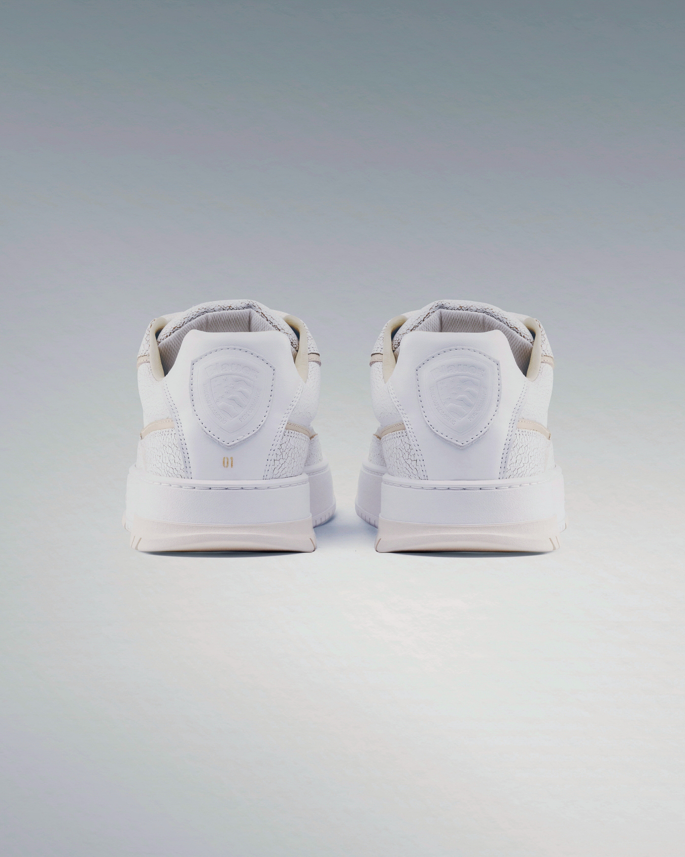 Project 02